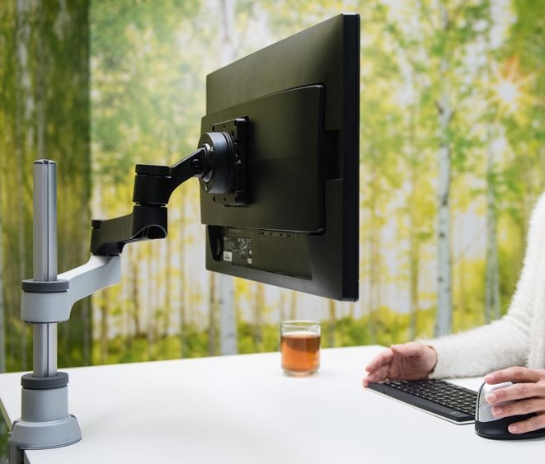 Picture of R-Go Zepher 4 Single Monitorarm